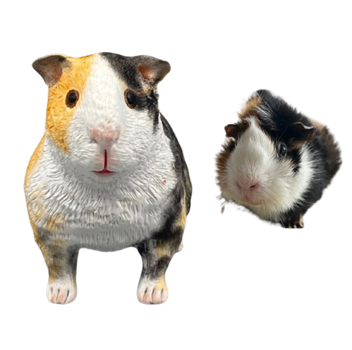 Custom Hamster pet rat animal bobblehead from photo