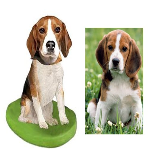 Custom Beagle Dog Bobblehead