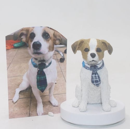 Turn your dog into bobblehead custom 5 inches